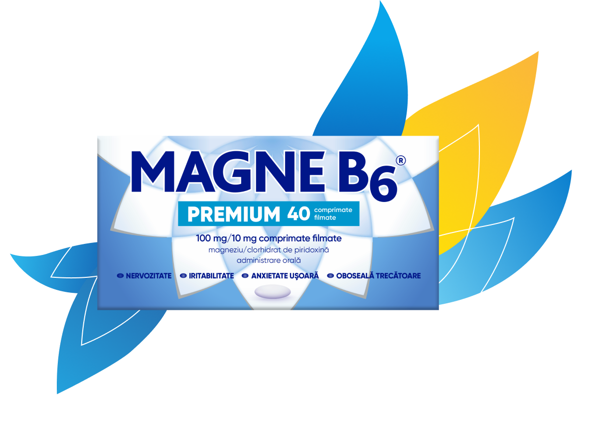 Magne B6 Premium